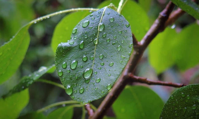 Η ΕΜΥ προειδοποιεί – Αλλάζει το σκηνικό σε λίγες ώρες